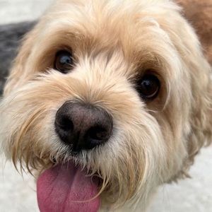 Meet your Posher, Claire